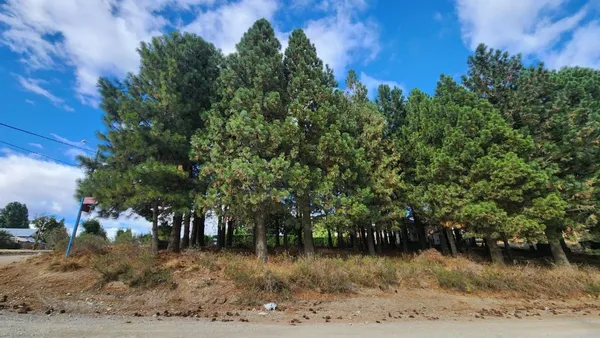 Lote en Los Pinos y los Tilos S/N