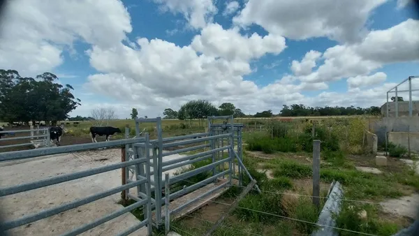 Lote en Cocheros Hermanos Aldacoche 600