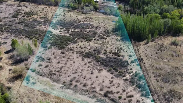 Campo en Fray Mamerto Esquiu S/N