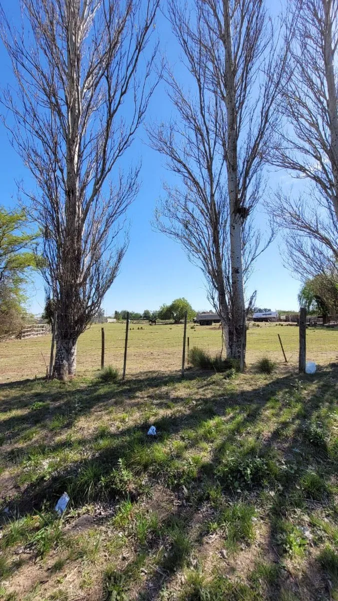 Lote en Cullen y Ugarte S/N