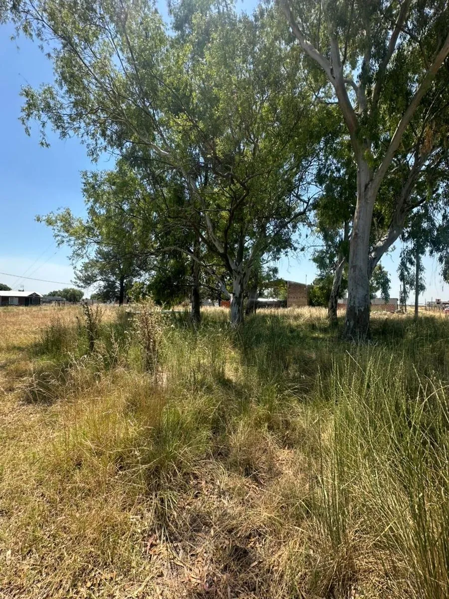 Lote en Verdi S/N