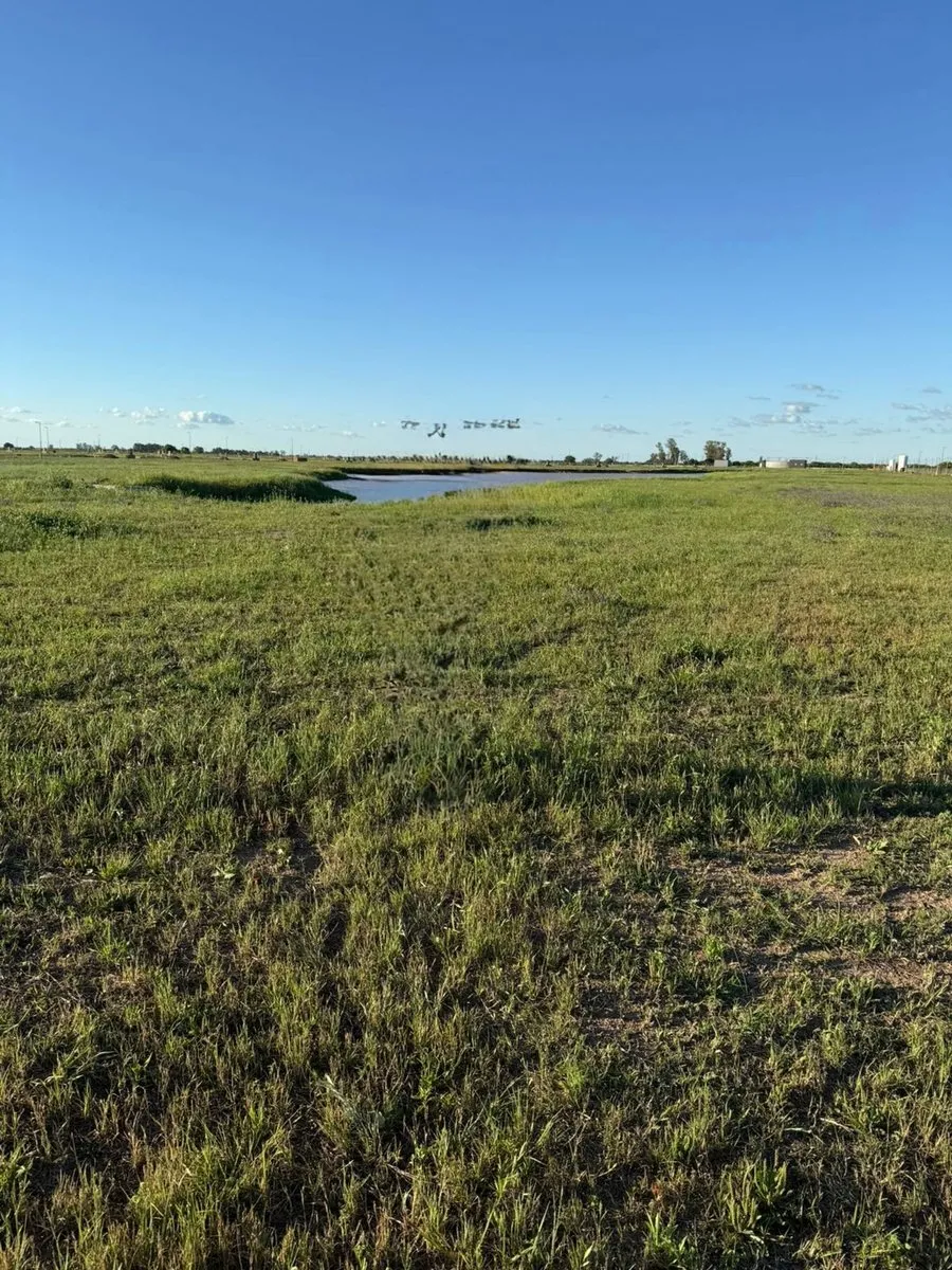 Lote en Autopista Rosario - Santa Fe S/N