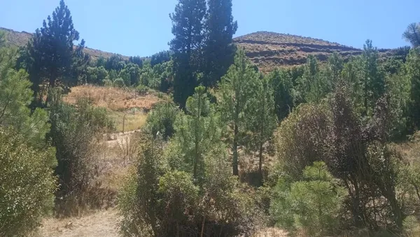 Lote en El Maitenal S/N