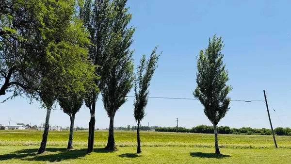 Lote en Avenida Antártida Argentina S/N