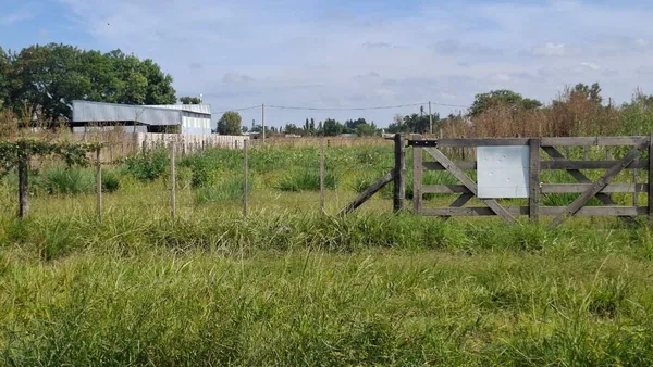 Lote en Jorge A. Ramos 100