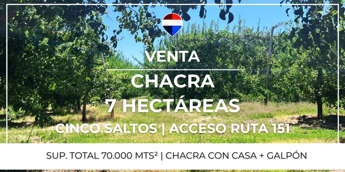 Campo en Chacra 24 2 B, Cinco Saltos S/N