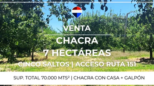 Campo en Chacra 24 2 B, Cinco Saltos S/N
