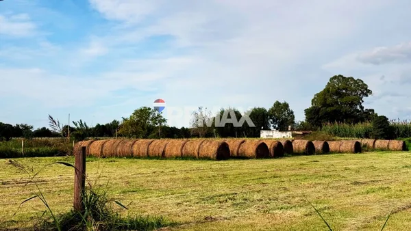 Campo en Juan José Paso, a 5 Cuadras Al Este de Ruta 11 y a 10 Cuadras Al Norte de Ruta 5 S/N