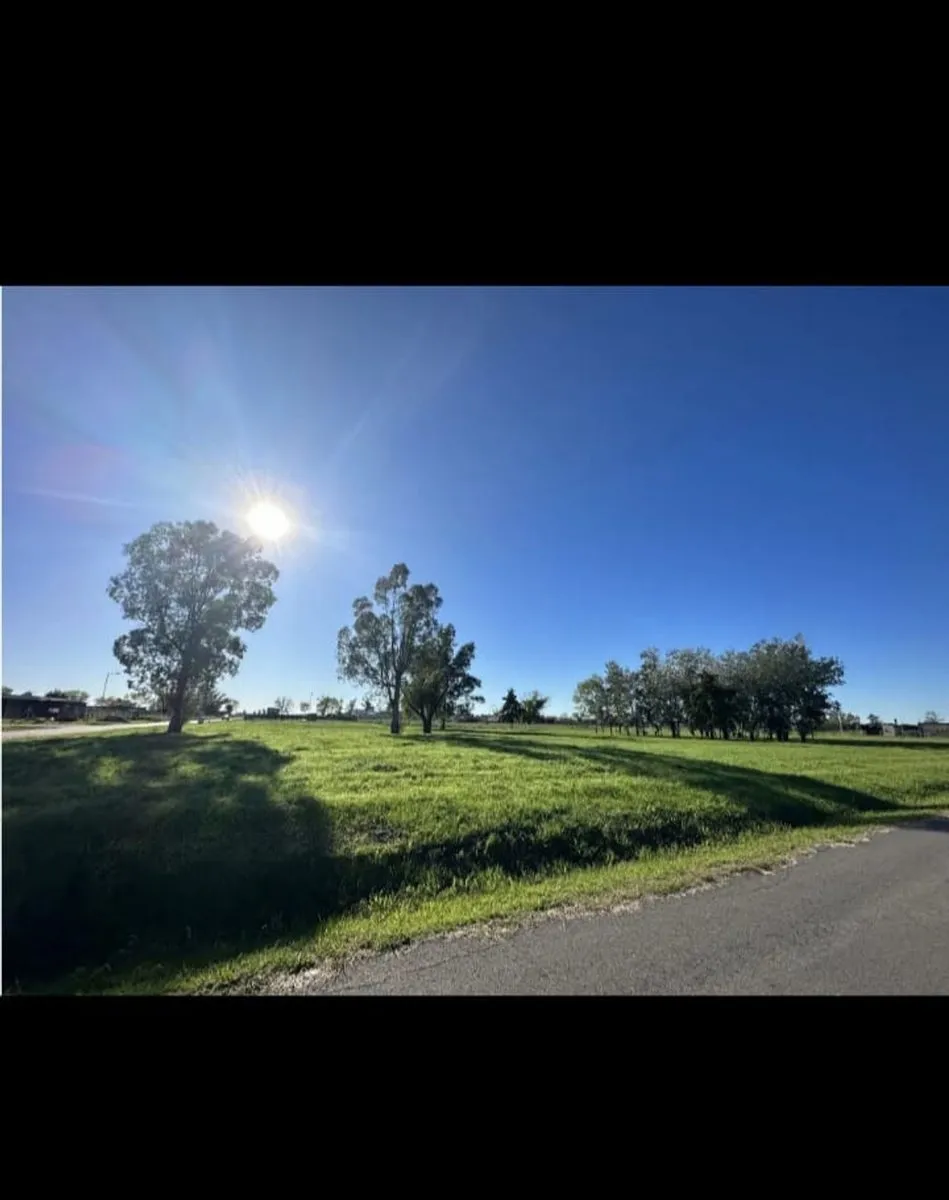 Lote en Avenida Fernández Beschtedt 2600
