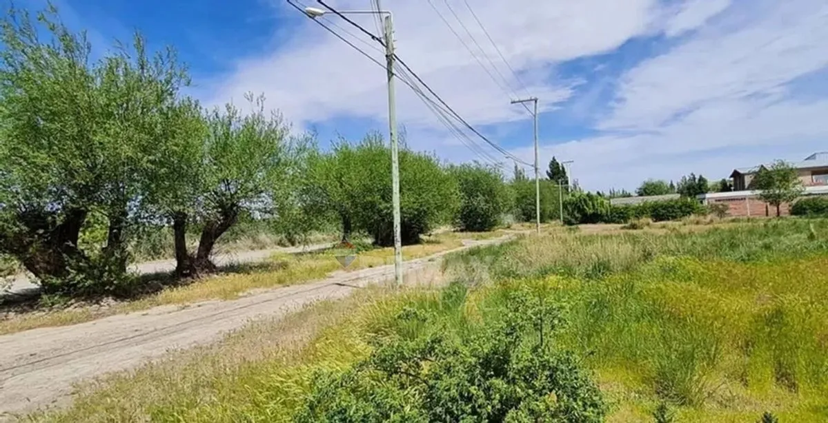 Lote en Avenida Antonio Colla 1000