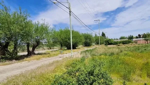 Lote en Avenida Antonio Colla 1000