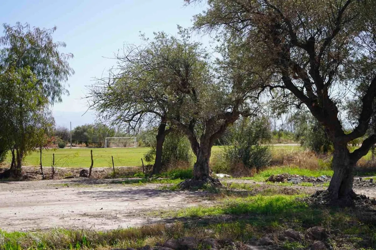 Lote en Bruno Morón S/n S/N