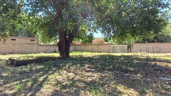 Lote en Primera Junta 800