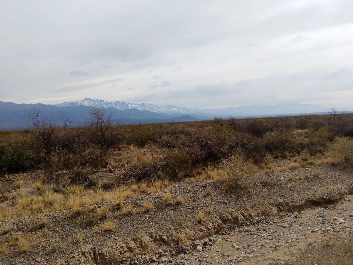 Lote en Ruta Provincial N°101 S/n S/N