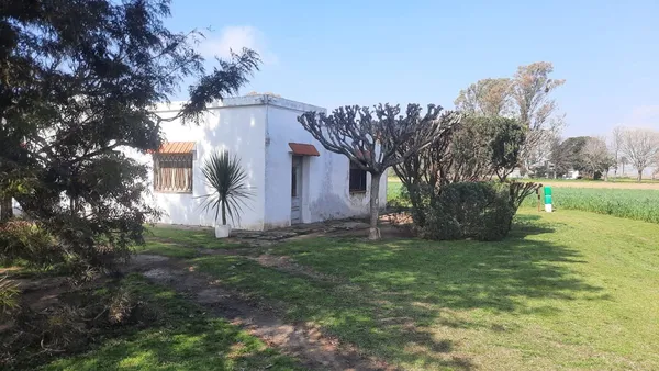 Campo en Ruta Nacional 11 300