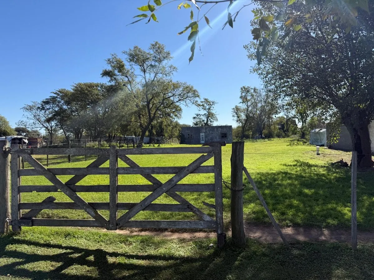 Lote en Avenida Victoria 100