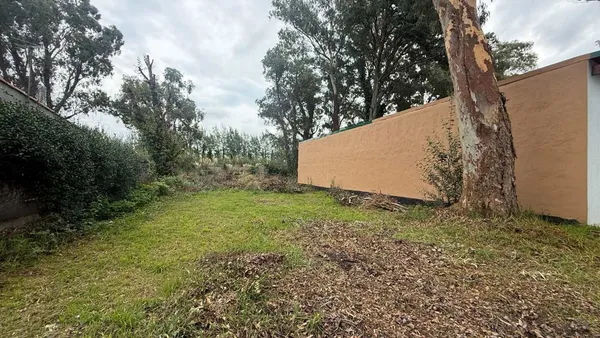 Lote en Calle los Tulipanes S/N
