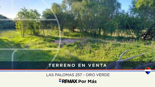 Lote en Las Palomas 200