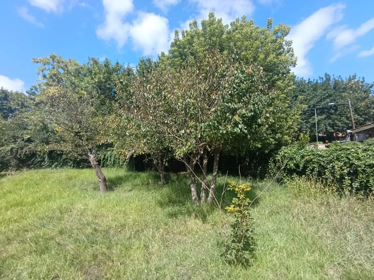 Lote en Avenida Presidente Peron 1000