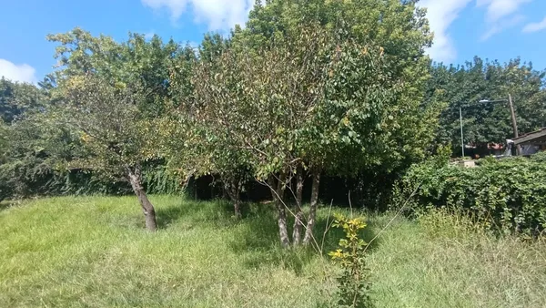 Lote en Avenida Presidente Peron 1000