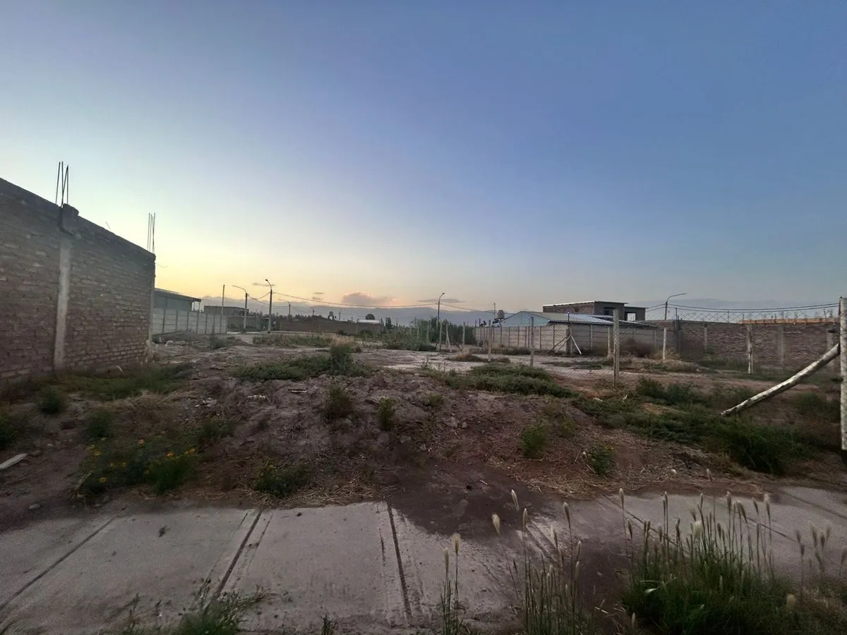 Lote en Publica 29 0