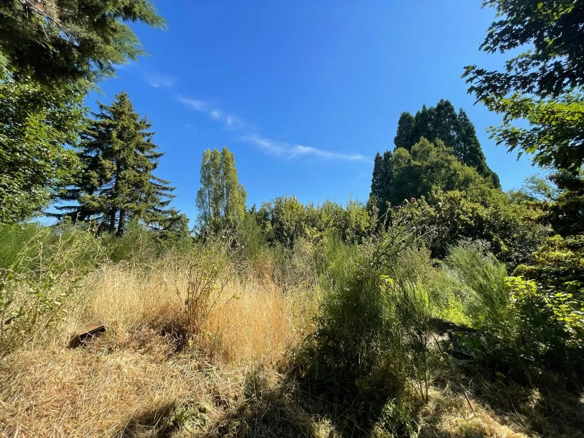 Lote en Morales y Albarracín Oeste 200