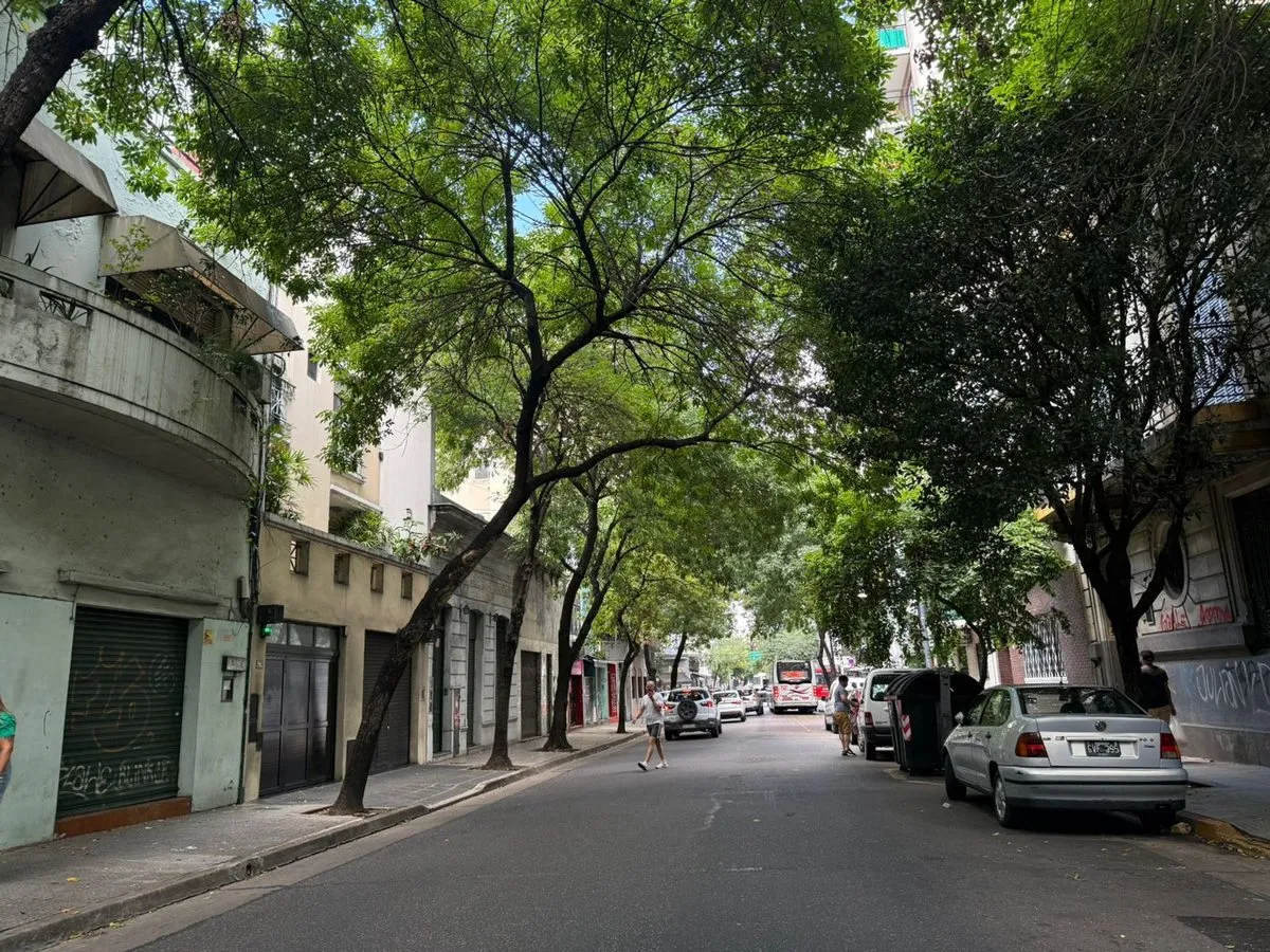 Lote en Combate de los Pozos 300
