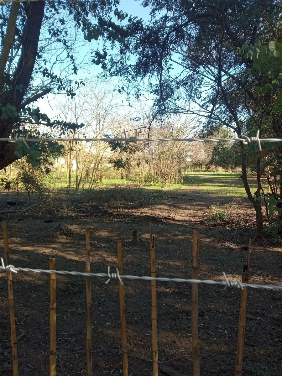 Lote en Patricias Mendocinas S/N