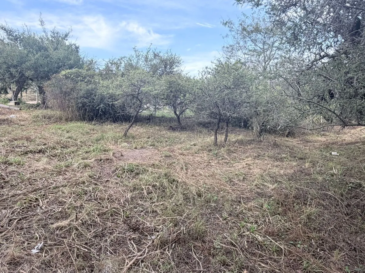 Lote en Calle Desconocida S/N