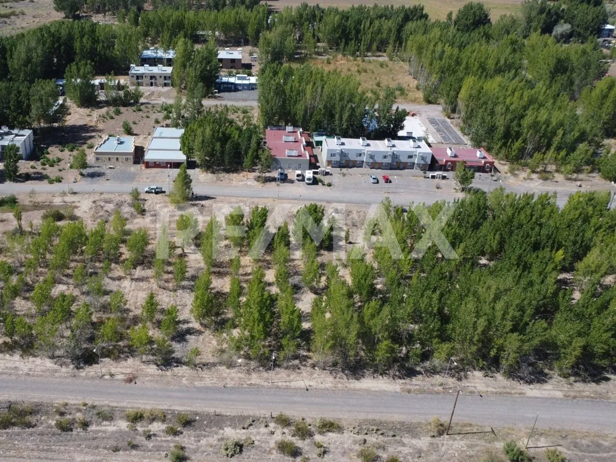Lote en Ruta Prov 17 - la Forestada 0