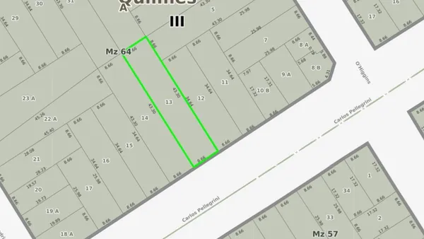 Lote en Avenida Carlos Pellegrini 1400