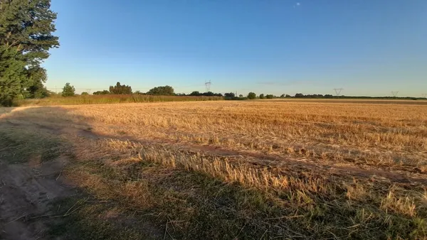 Campo en Sin Nombre S/N