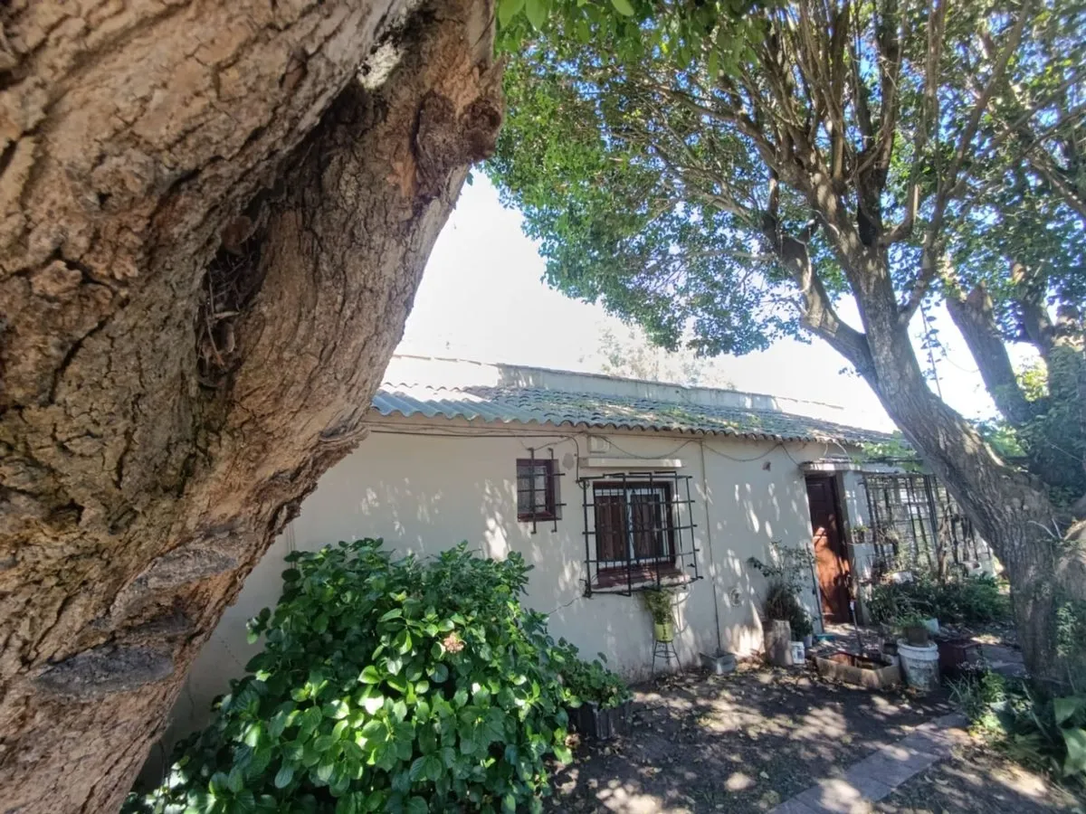 Casa en Eduardo Bradley 400