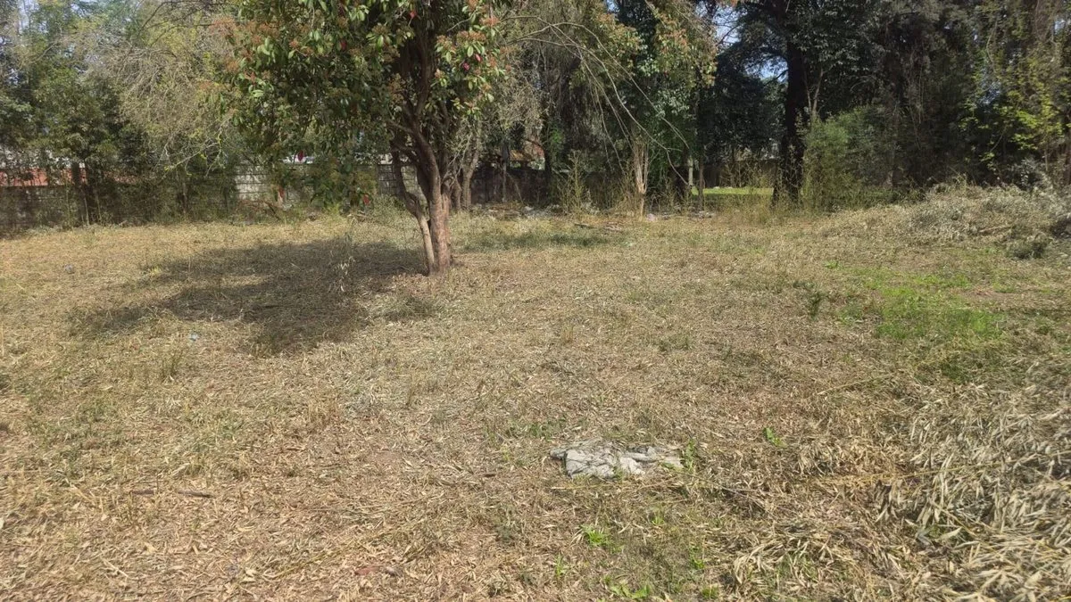 Lote en Calle Desconocida S/N