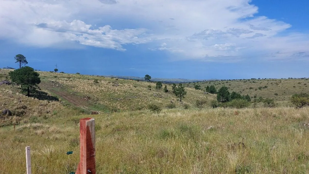 Lote en Ruta Provincial S271 S/N