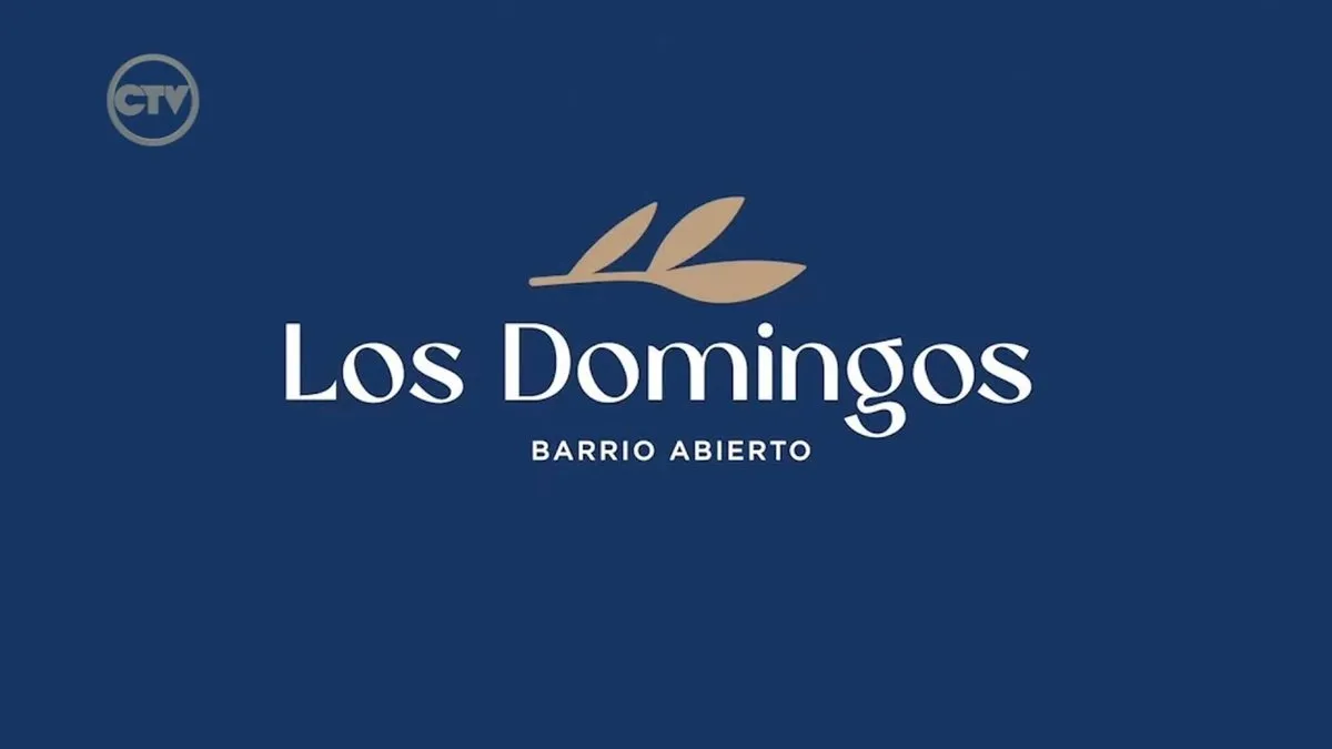 Lote en Los Domingos 900