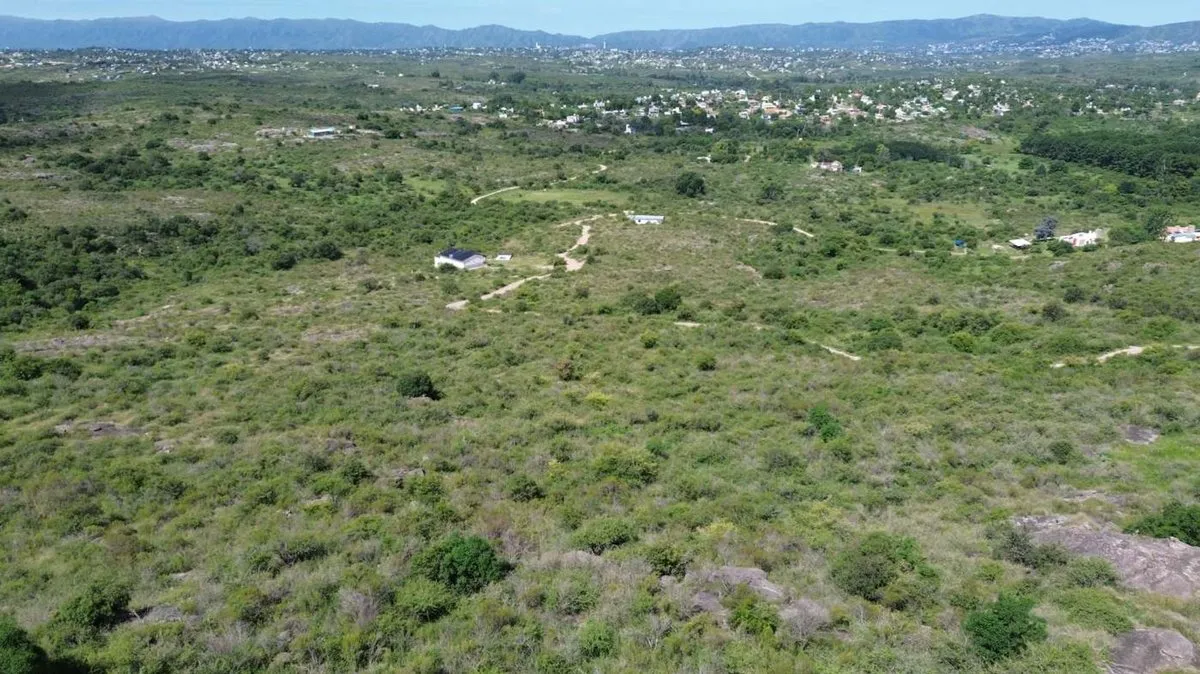 Lote en Los Sauces S/N