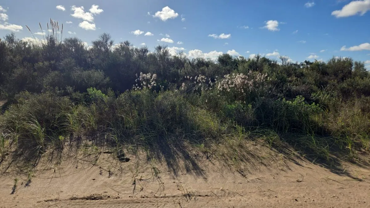 Lote en Ruta Provincial 11, Km 400