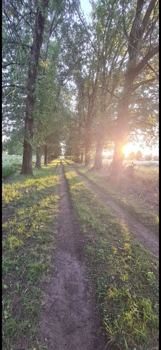 Campo en Ruta 25 Km 7 0