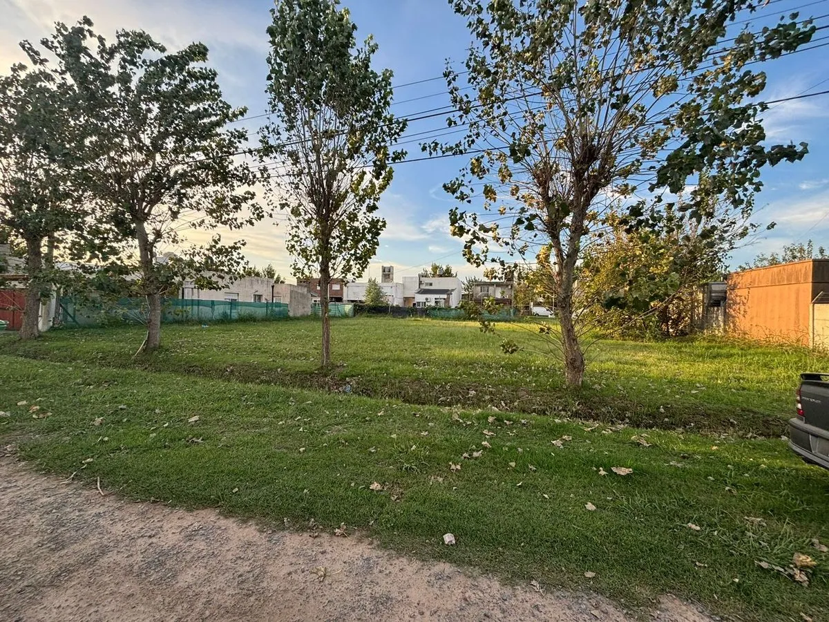 Lote en El Jacarandá 6000