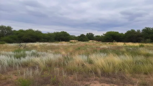 Lote en Calle Elva Cayupán S/N