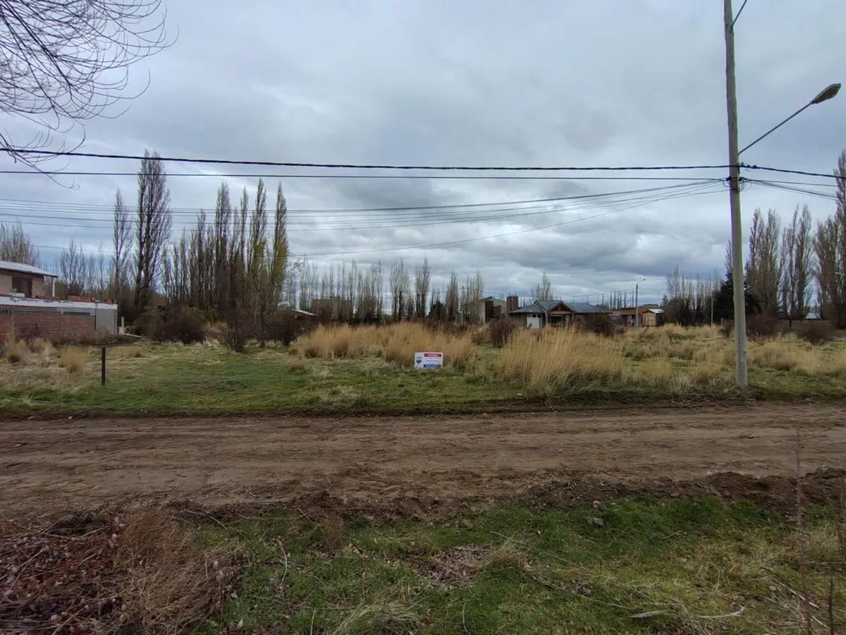 Lote en Avenida Antonio Colla 1000