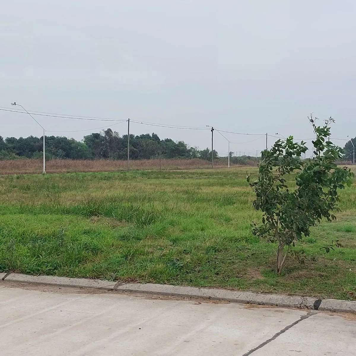 Lote en Collino 200