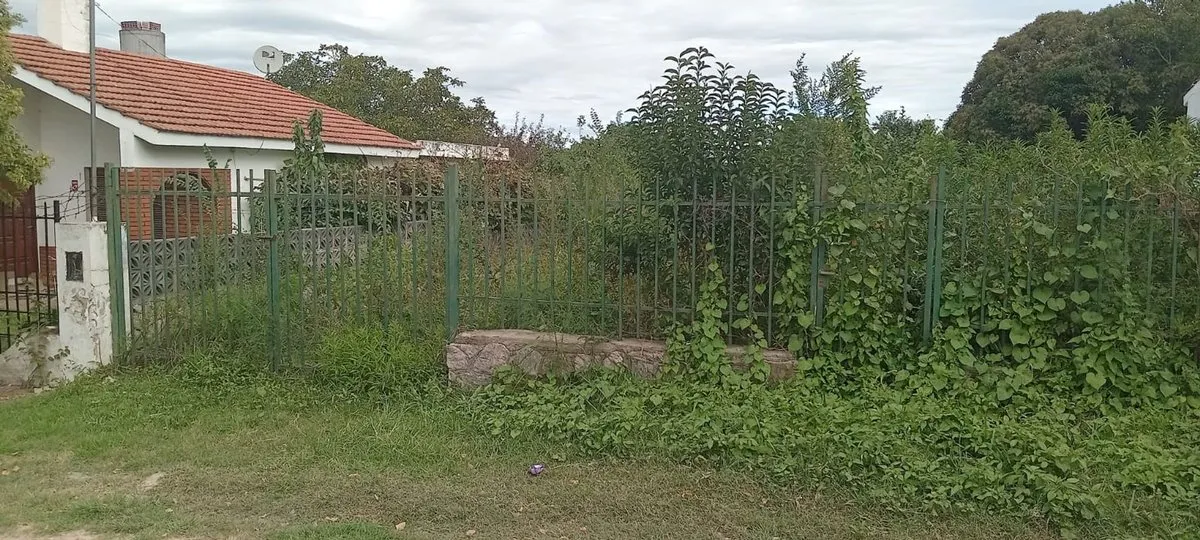 Lote en Avenida Teresa M. de Ferrarini 800
