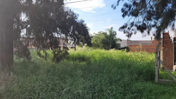 Lote en Tomás Lubary 2600