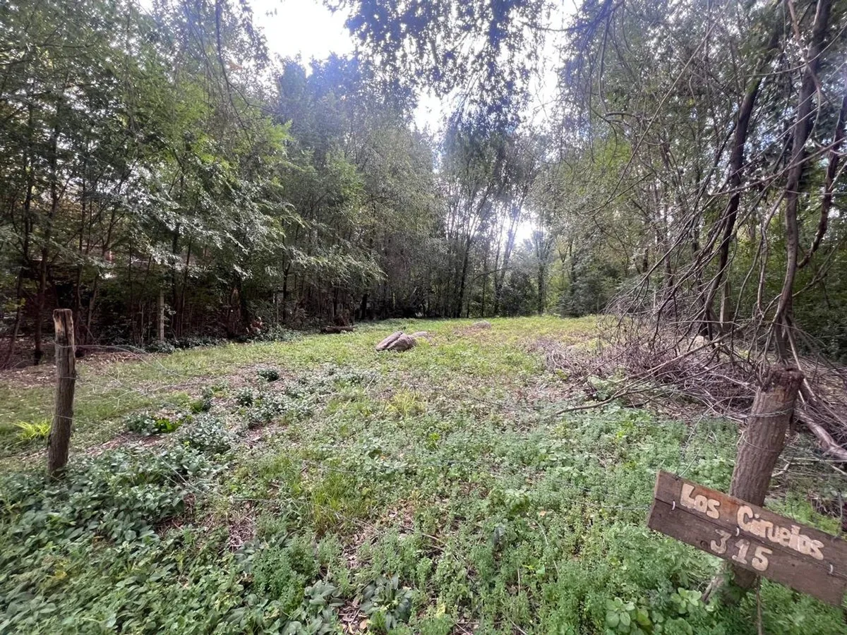 Lote en Los Ciruelos 300