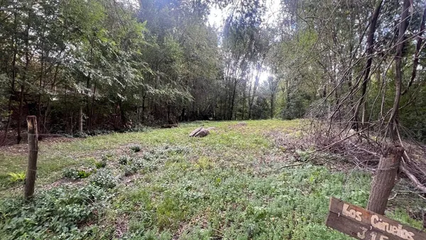 Lote en Los Ciruelos 300