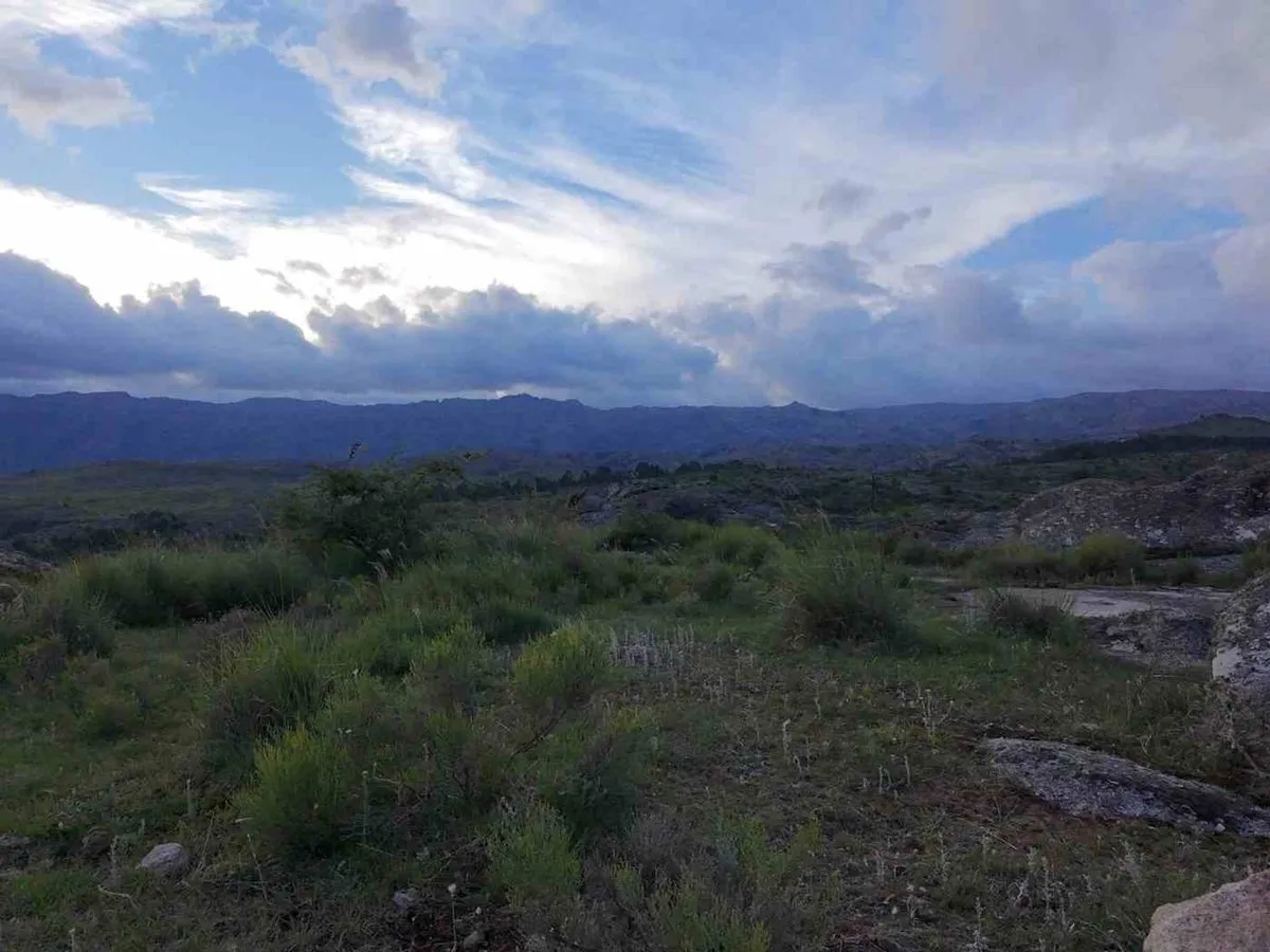 Lote en Rancho Salvaje S/N