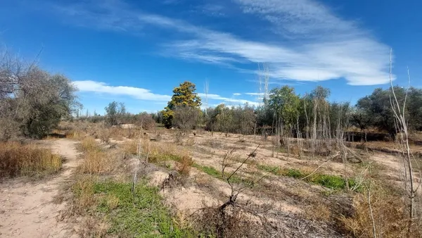 Lote en Cruz Videla 2400