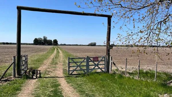 Campo en Calle Desconocida S/N